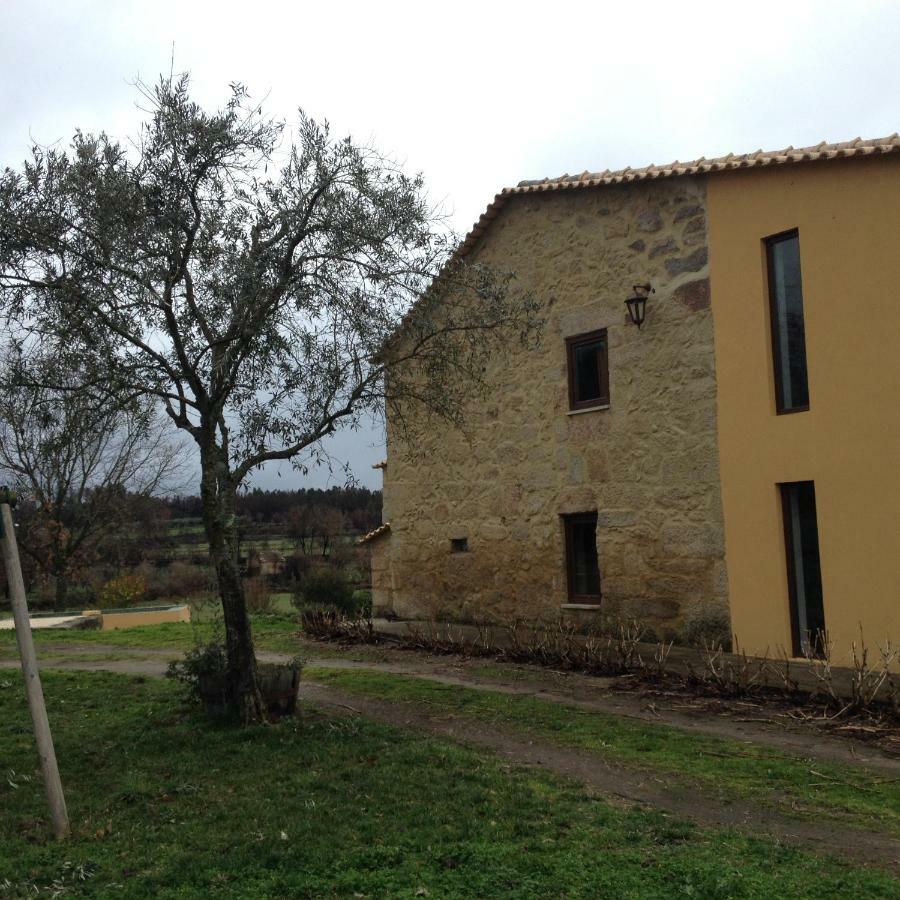 Maison d'hôtes Quinta Damigo à Seia Extérieur photo