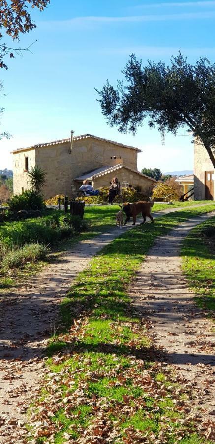 Maison d'hôtes Quinta Damigo à Seia Extérieur photo