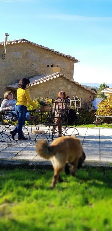 Maison d'hôtes Quinta Damigo à Seia Extérieur photo